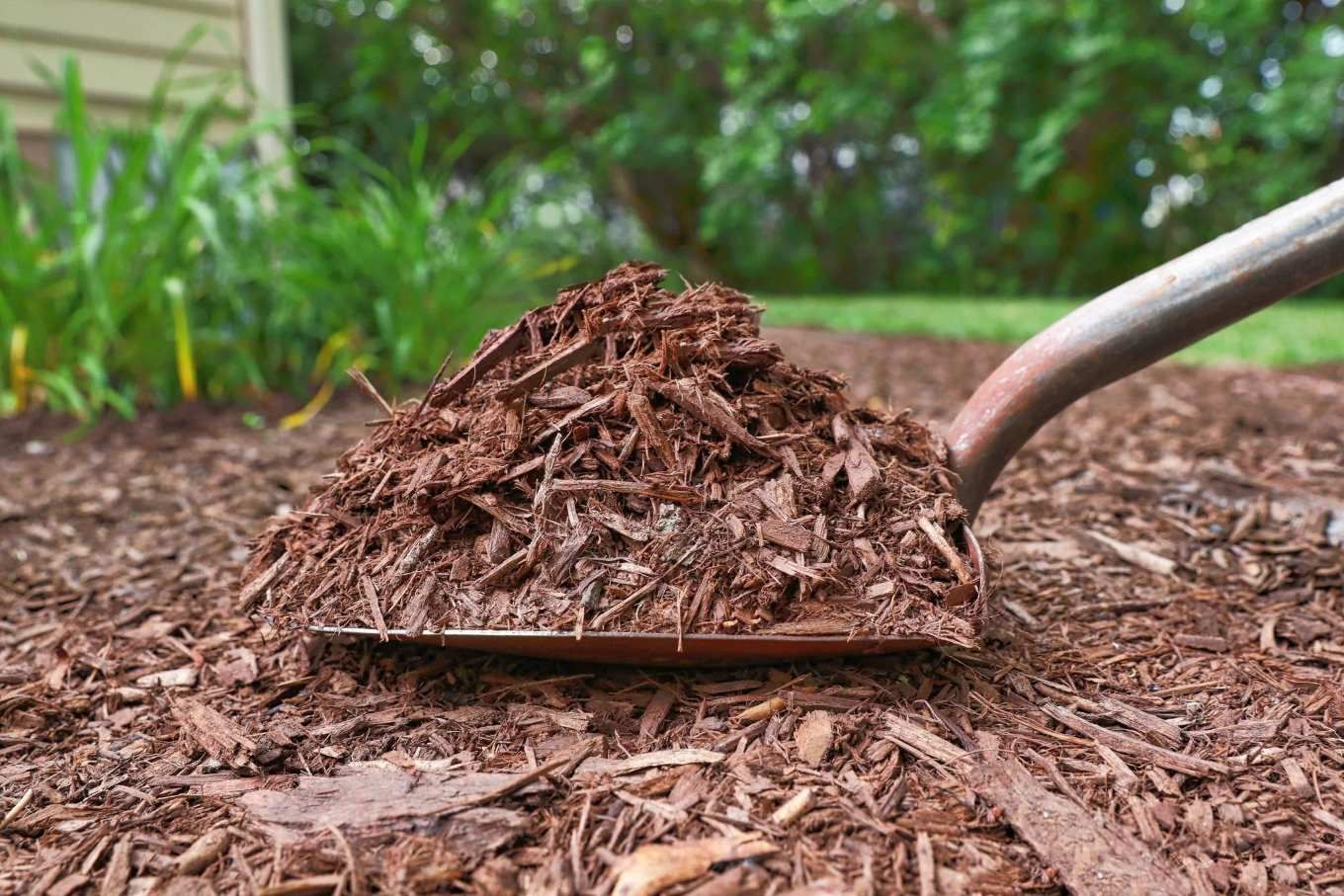 Free Mulch by Coral Coast Tree Care