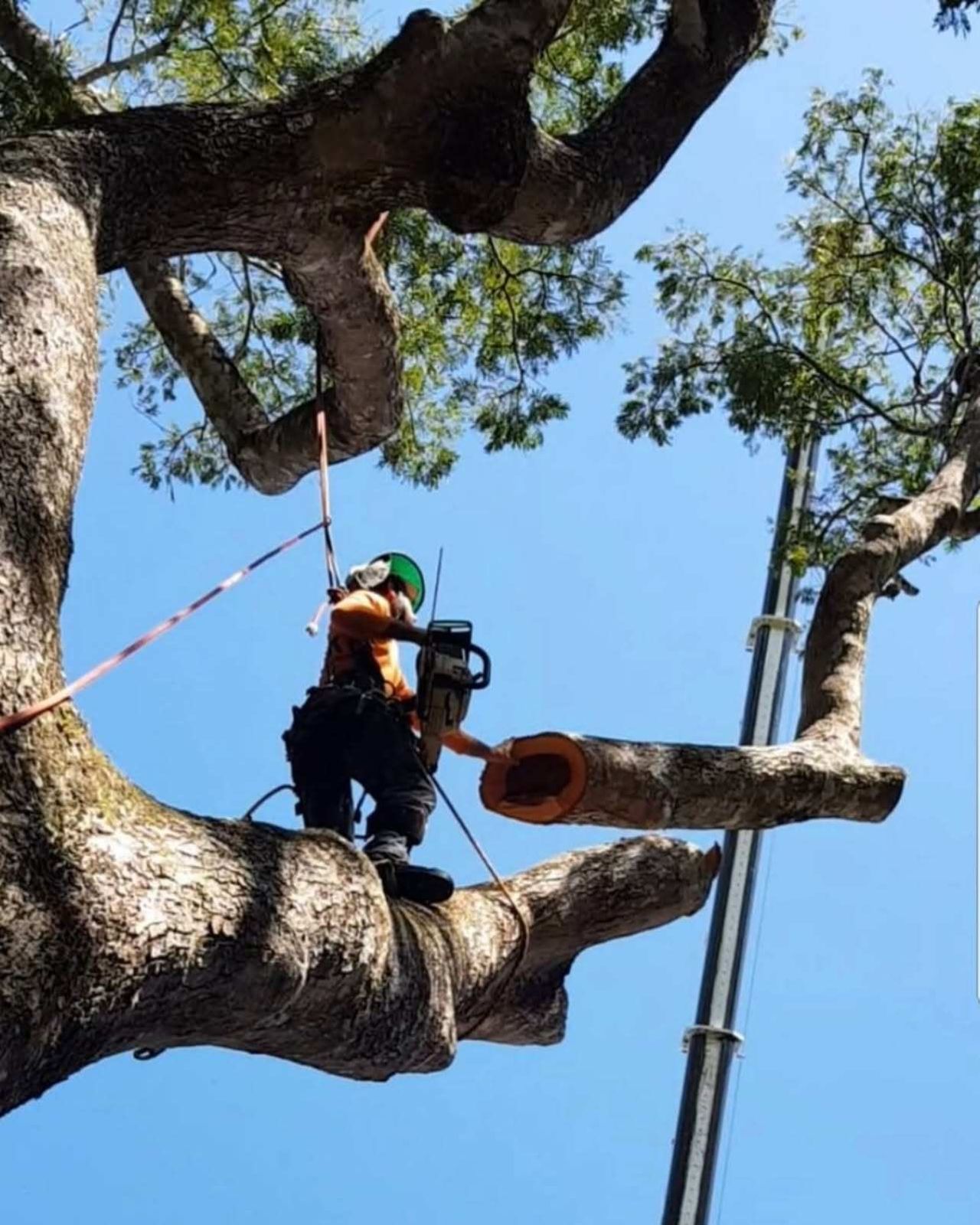 Rigging a section down