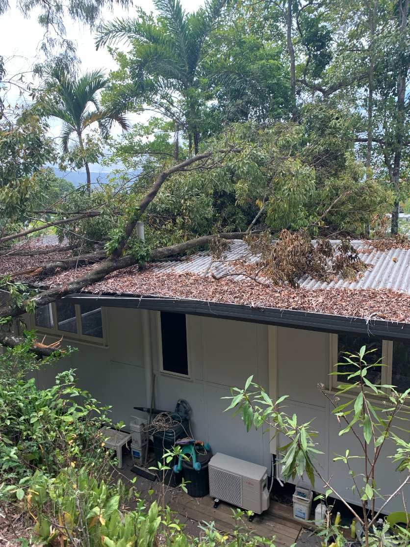 Emergency Tree Services by Coral Coast Tree Care